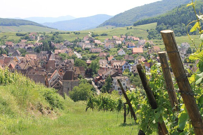 Alsace Wine Route Small Group Half-Day Tour with Tasting from Strasbourg - The Practicalities: What You Need to Know