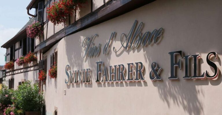 Alsace: Winery Tour & Tasting - Who Should Consider This Tour?