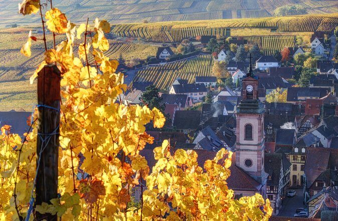Alsace's Gems Small Group Day Tour from Colmar - Who Will Love This Tour?