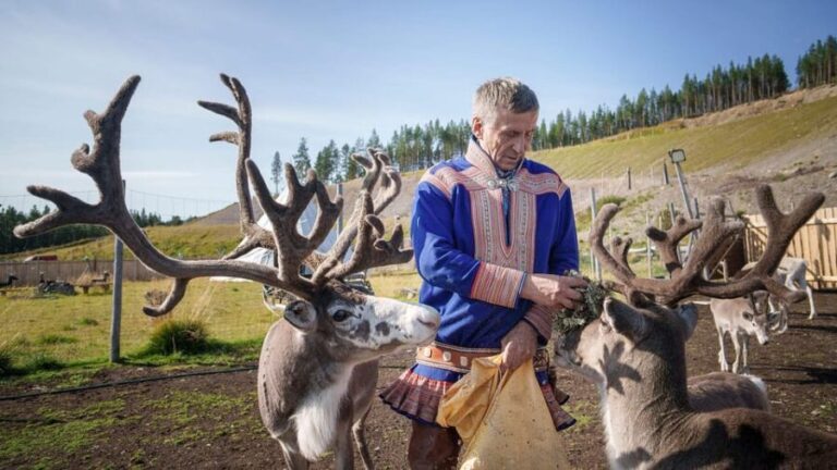 Alta: Reindeer - A carrier of Sámi Culture - The Practicalities