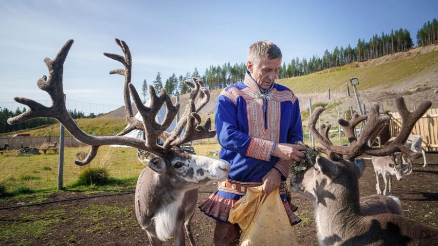Alta: Reindeer - A carrier of Sámi Culture - The Practicalities