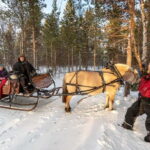 Alta: Sleigh Ride in the Arctic Countryside - The Value of This Experience