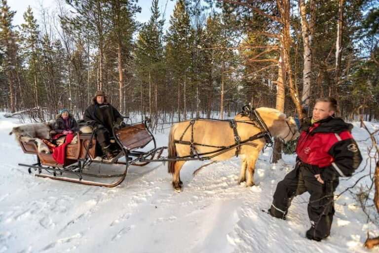 Alta: Sleigh Ride in the Arctic Countryside - The Value of This Experience