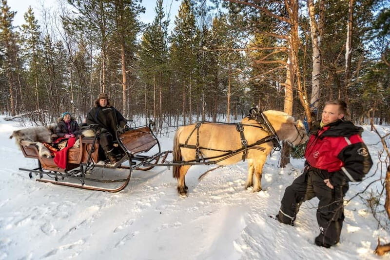 Alta: Sleigh Ride in the Arctic Countryside - The Value of This Experience