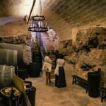 Altamura: Wine Museum Guided Tour with Tasting - Discovering the Cantina Frrud Wine Museum