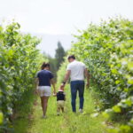 Alvarinho com Alma - Practical Details That Matter