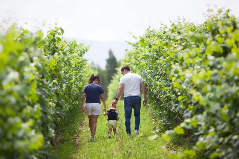 Alvarinho com Alma - Practical Details That Matter