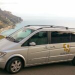 Amalfi Coast and Pompeii for Families Private Tour - Scenic Drive & Coastal Stops: Flexibility and Stunning Views