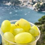 Amalfi Coast day tour - Who This Tour Suits Best