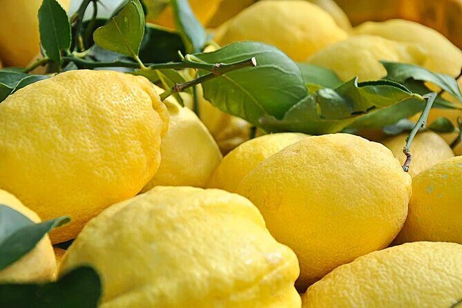 Amalfi Coast - Maiori: Path of Lemons Tour with Tasting - Who Should Consider This Tour?