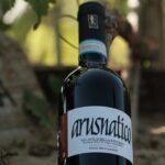 Amarone 2005 Wine Experience - Final Thoughts: Who Is This Tour Perfect For?