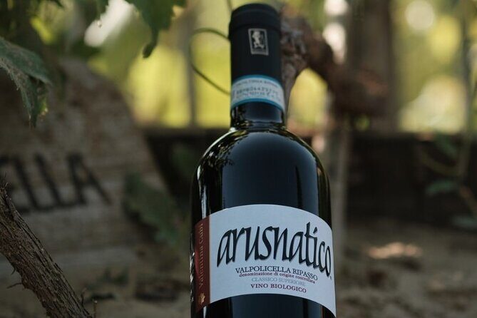 Amarone 2005 Wine Experience - Final Thoughts: Who Is This Tour Perfect For?