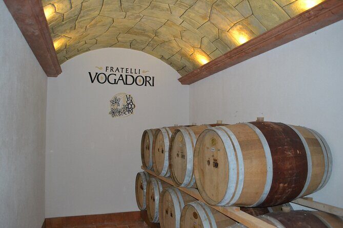 Amarone Della Valpolicella Wine Experience - Meet the Vogadori Family - Final Thoughts: Who Should Book This Tour?