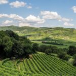 Amarone-Valpolicella private tour. Visit Verona. From Venice - The Sum Up