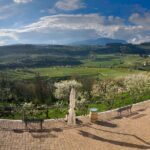 Amarone Wine Tasting from Verona - What Makes This Tour Stand Out?