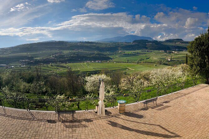 Amarone Wine Tasting from Verona - What Makes This Tour Stand Out?