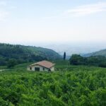 Amarone Wine Tour (all-inclusive full day with lunch and expert wine guide) - Frequently Asked Questions