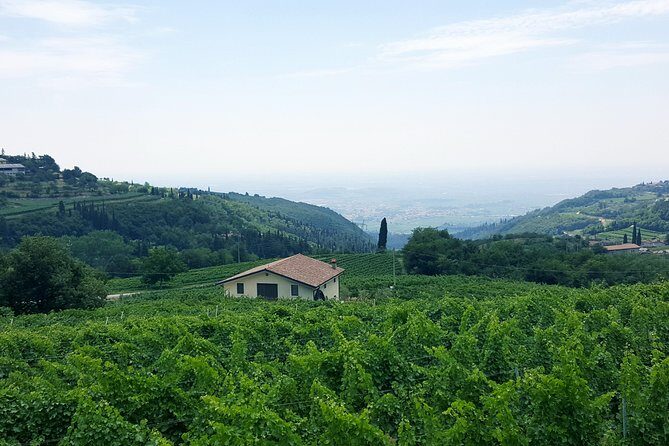 Amarone Wine Tour (all-inclusive full day with lunch and expert wine guide) - Frequently Asked Questions