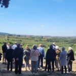 Amarone Wine Tour with 2 Wineries Lunch and Private Transfer - Who Would Love This Tour?