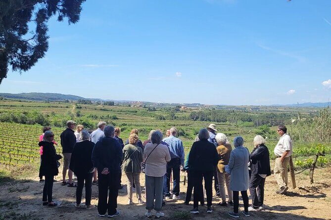 Amarone Wine Tour with 2 Wineries Lunch and Private Transfer - Who Would Love This Tour?