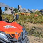 Amazing Buggy Ride in Corno do Bico - Price and Value Analysis