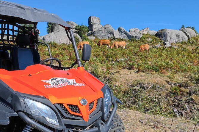 Amazing Buggy Ride in Corno do Bico - Price and Value Analysis