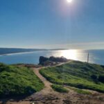 Amazing Private Tour to Alentejo Tour From Lisbon - The Cork Factory: A Craft with National Significance