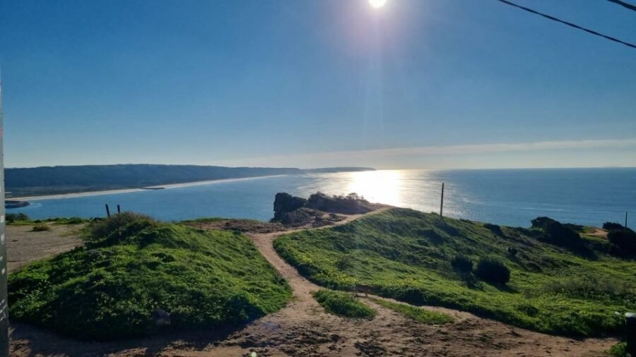 Amazing Private Tour to Alentejo Tour From Lisbon - The Cork Factory: A Craft with National Significance