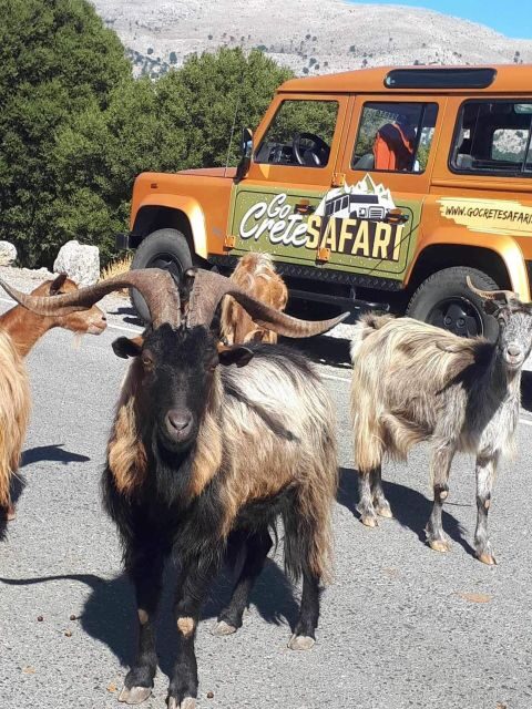 Amazing Sunset Safari Route with Dinner - Exploring the Route – What to Expect