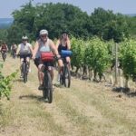 Amboise: Highlights Private E-Bike Tour w/ Clos Lucé Ticket - The Practical Side: What You Need to Know