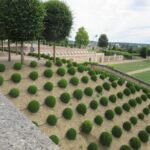 Amboise: Private Guided Tour of the Castle with Entry Ticket - The Setting and First Impressions
