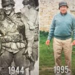 American 101st & 82nd Paratroopers in Normandy battlefield tour - The Sum Up