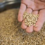 Amersfoort: Beer brewing workshop with lunch & beer tasting - An In-Depth Look at the Amersfoort Beer Brewing Workshop