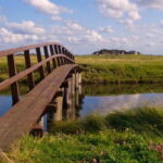 Amrum: Day trip by boat to Hallig Hooge - Who Is This Tour Perfect For?