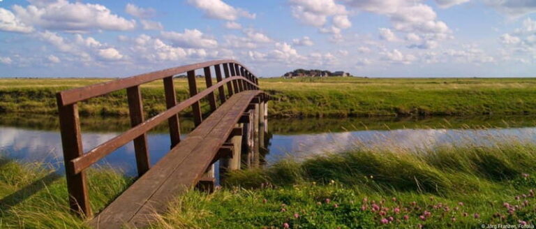 Amrum: Day trip by boat to Hallig Hooge - Who Is This Tour Perfect For?