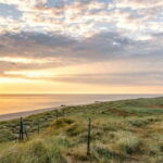 Amrum: Daytrip by boat to Sylt - The Sum Up