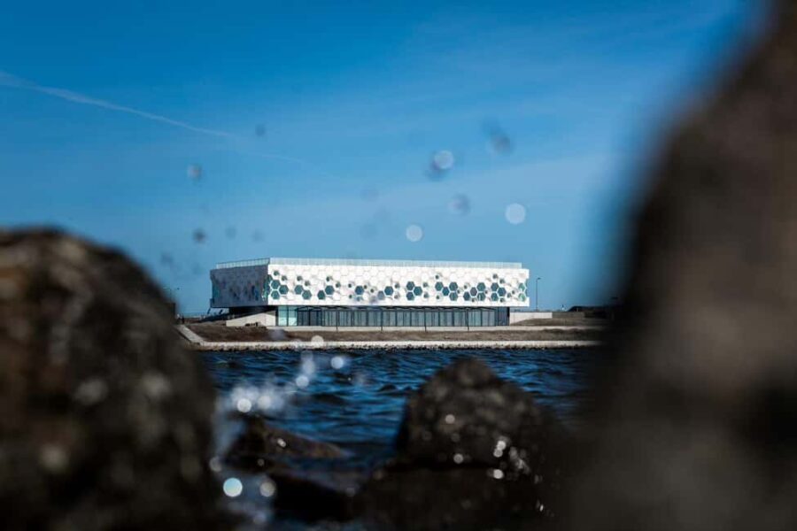 Amsterdam: Afsluitdijk & Wadden Center Museum Private Tour - What Travelers Can Expect