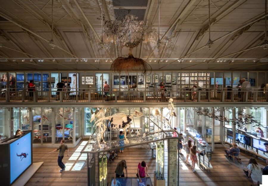 Amsterdam: ARTIS-Groote Museum Entry Ticket - Who Will Love This Museum?