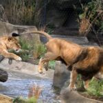 Amsterdam: ARTIS Royal Zoo and ARTIS Groote Museum Ticket - Who Should Consider This Tour?