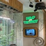 Amsterdam: Cannabis Museum Entry Ticket - Practical Information