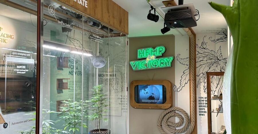 Amsterdam: Cannabis Museum Entry Ticket - Practical Information