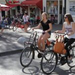 Amsterdam: City Highlights Bike tour - The Practicalities: What You Need to Know