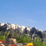 Amsterdam: Countryside Bike and Kayak Guided Tour - What’s Included and Practicalities