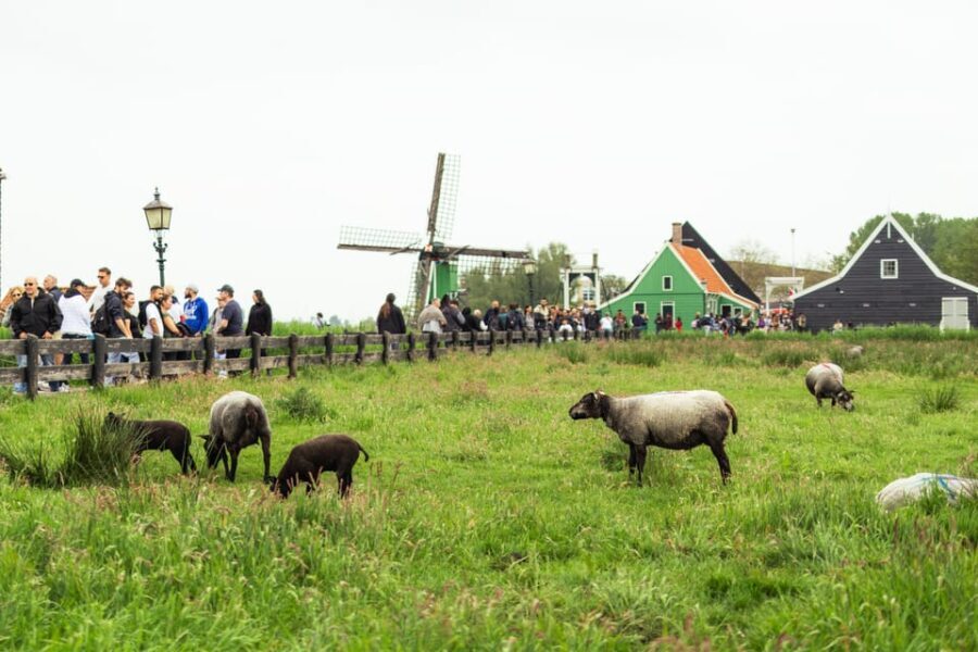 Amsterdam: Explore Zaanse Schans: Half-Day Luxury Coach Trip - Analyzing the Value
