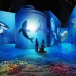 Amsterdam: Fabrique des Lumières The Sea Entry Ticket - What Makes This Experience Stand Out?