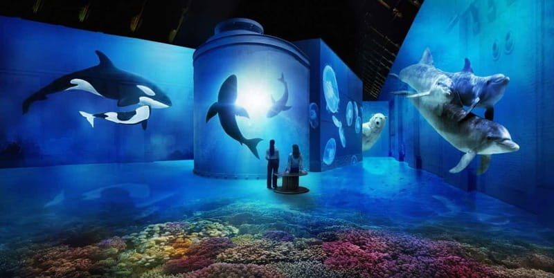Amsterdam: Fabrique des Lumières The Sea Entry Ticket - What Makes This Experience Stand Out?