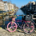 Amsterdam Food Tour: Full Meal with Beer - Sitting Down for a Main Dish