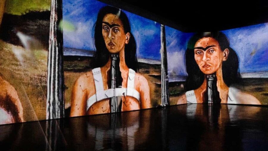 Amsterdam: Frida Kahlo Immersive & Photo Exhibition - What the Exhibition Looks Like