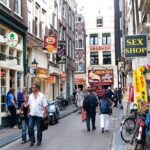 Amsterdam Highlights and History Walking Tour - Who Will Love This Tour?