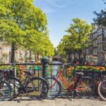 Amsterdam Highlights Small-Group Walking Tour - A Deep Dive into the Tour Experience